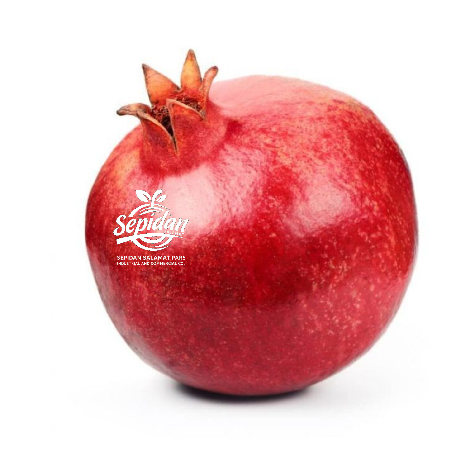 انار