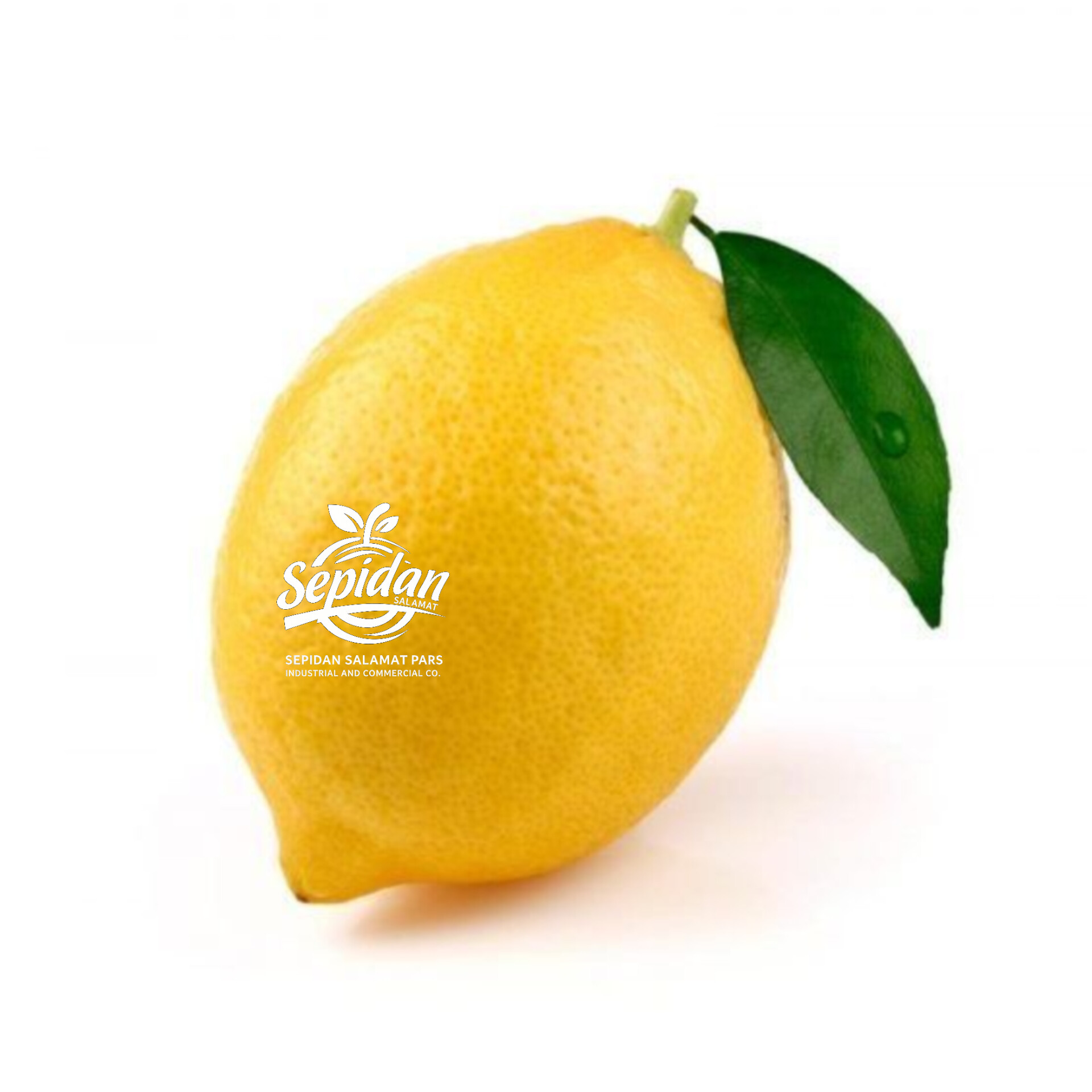 لیمو