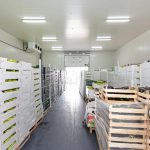produce-storage-unit-fresh-food-boxes-pallets-cold-163826340
